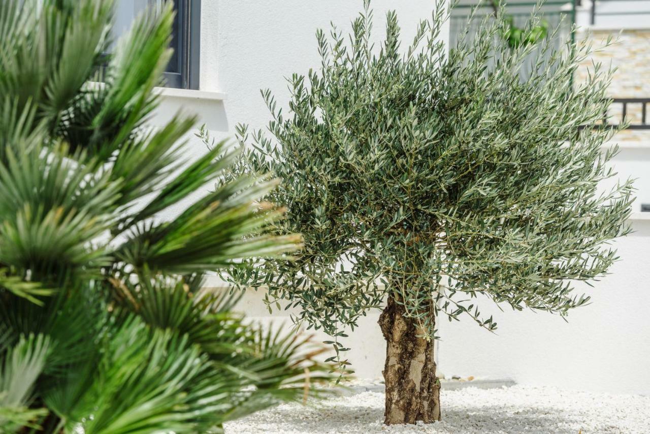 Dalmatia Apartmán *